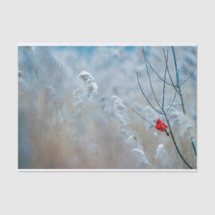 Red Cardinal in Winter Nature Foto von Christmas Seidenpapier