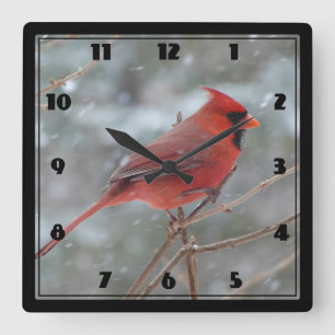 Red cardinal in Winter Quadratische Wanduhr