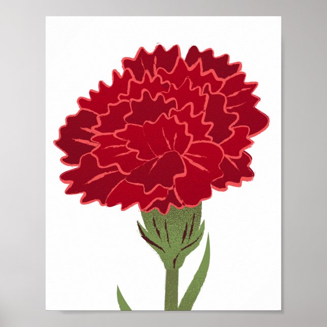 Red Carnation Blume Poster (Vorne)