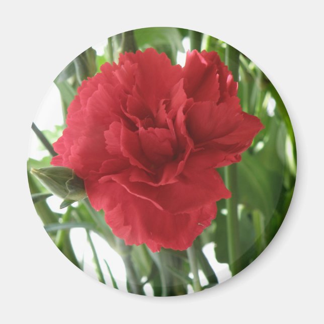 Red Carnation Magnet (Vorne)