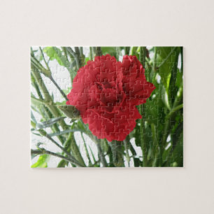 Red Carnation Puzzle