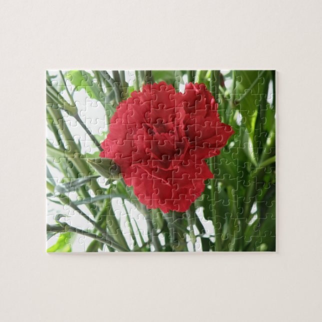 Red Carnation Puzzle (Horizontal)