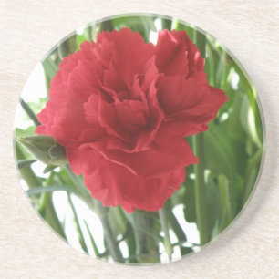 Red Carnation Untersetzer
