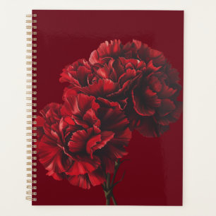 Red Carnons Planer