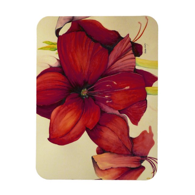 Red Christmas Amaryllis Foto Magnet (Vertikal)
