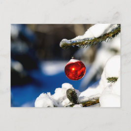 Red Christmas Ball, Sonnentag Postkarte