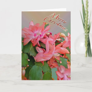 Red Christmas Cactus Christmas Card Feiertagskarte