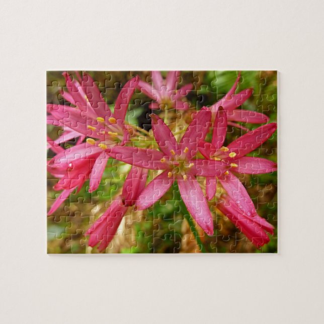 Red Clintonia Blume in Redwoods Puzzle (Horizontal)