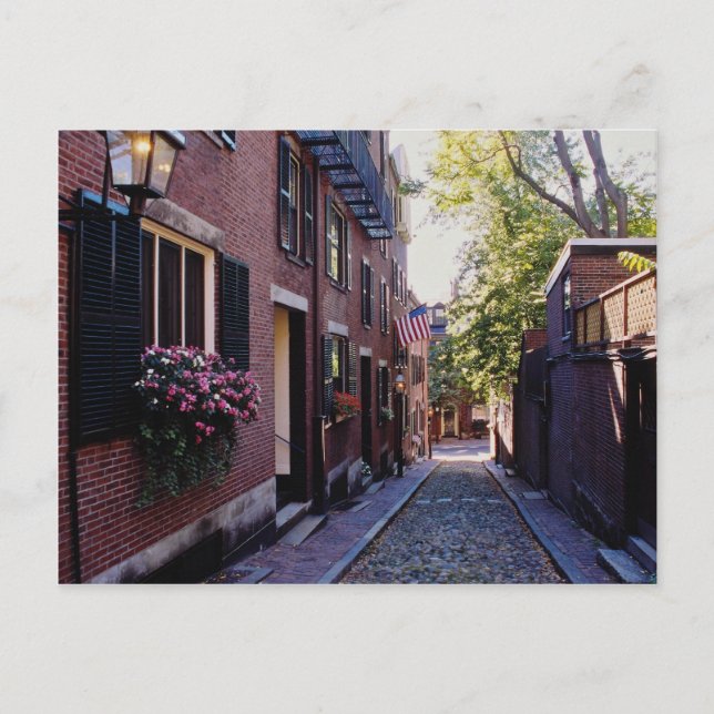 Red Cobblestone Acorn Street Blume Postkarte (Vorderseite)