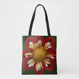 Red Collarette Dahlia Floral