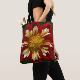 Red Collarette Dahlia Floral