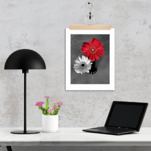 Red Color Splash Gerber Daisy Fotografie Poster