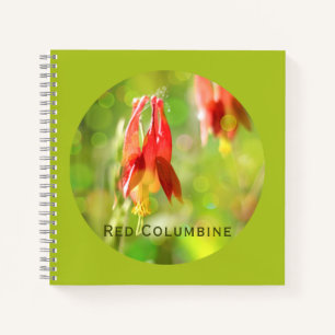 Red Columbine Blume auf Atlantis Green Notizbuch