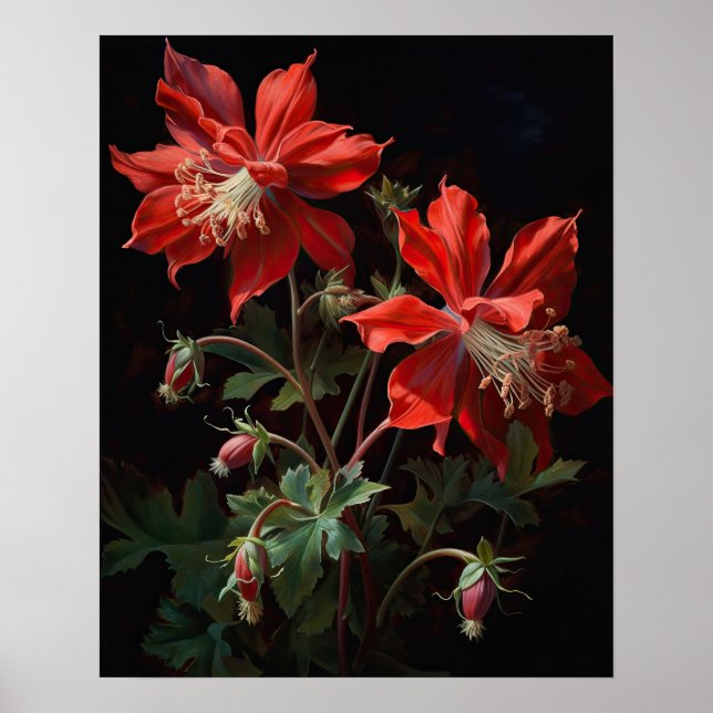 Red Columbine Blumen Art Print Poster (Vorne)