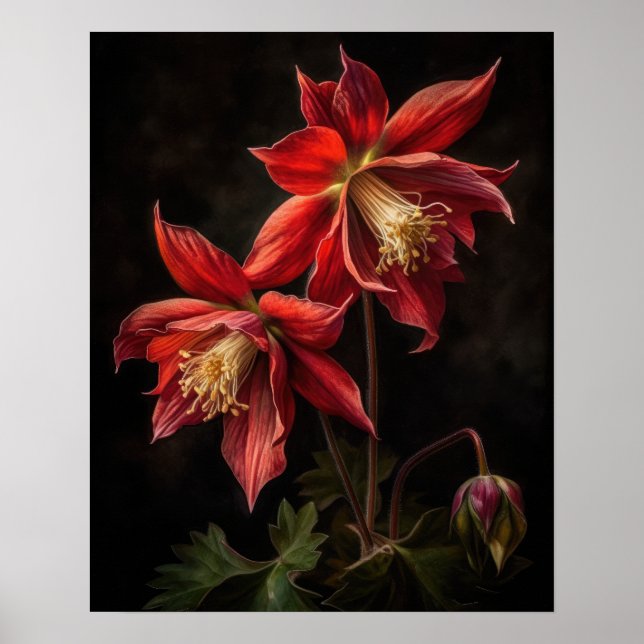 Red Columbine Blumen Art Print Poster (Vorne)