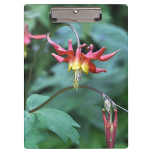 Red Columbine Klemmbrett