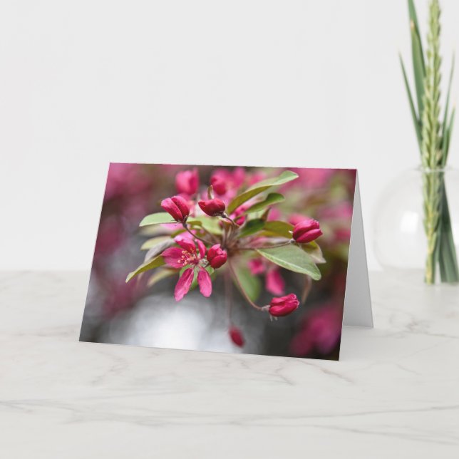 Red Crab Apple Blume Karte (Vorderseite)