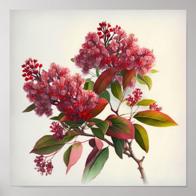 Red Crepe Myrtle Blume Art Print Poster (Vorne)