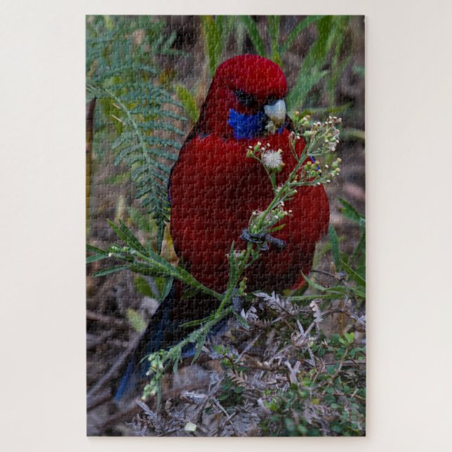 Red Crimson Rosella Bird Eating, 1014 Stücke Puzzle (Vertikal)