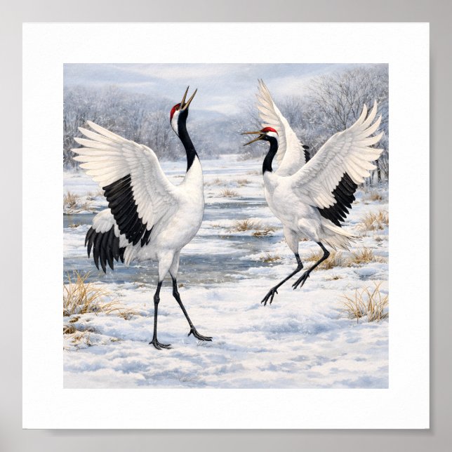 Red-crowned Cranes Dancing in Winter –  Poster (Vorne)