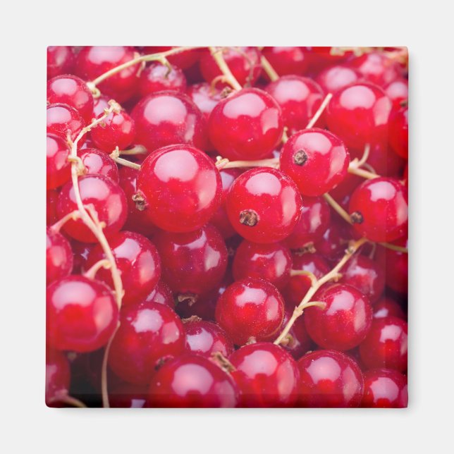 Red Currant Magnet (Vorne)