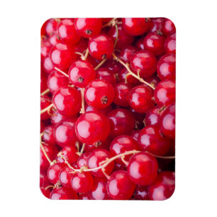 Red Currant Magnet