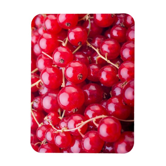 Red Currant Magnet (Vertikal)