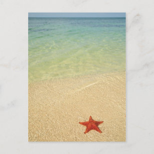 Red Cushion Sea Star   Trinidad, Kuba Postkarte