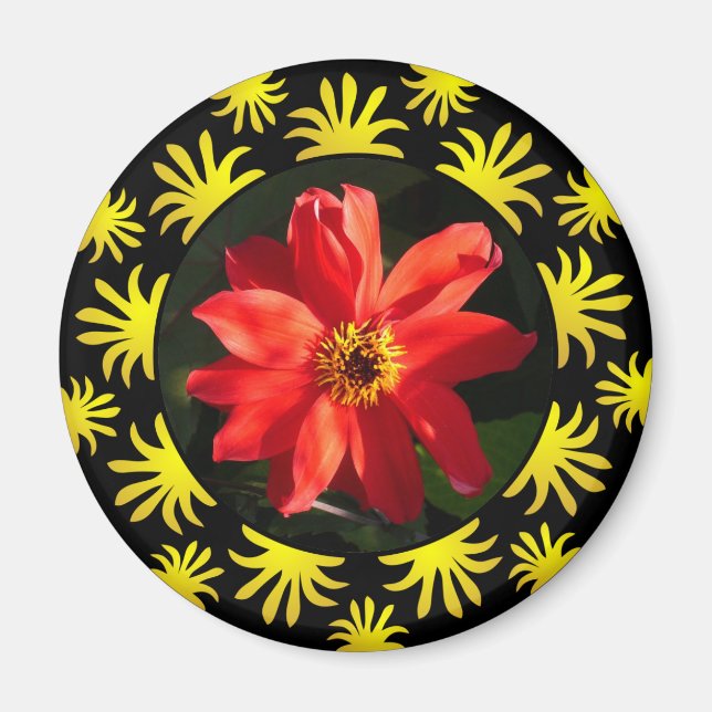 Red Dahlia (Bischof von Llandaff) - v2 Magnet (Vorne)