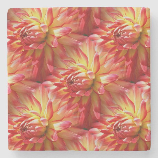 Red Dahlia Blume Art Pattern Steinuntersetzer (Vorderseite)