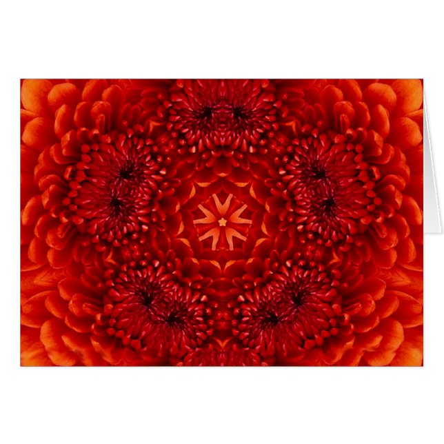 RED DAHLIA BLUME PETALS (Vorderseite (Horizontal))