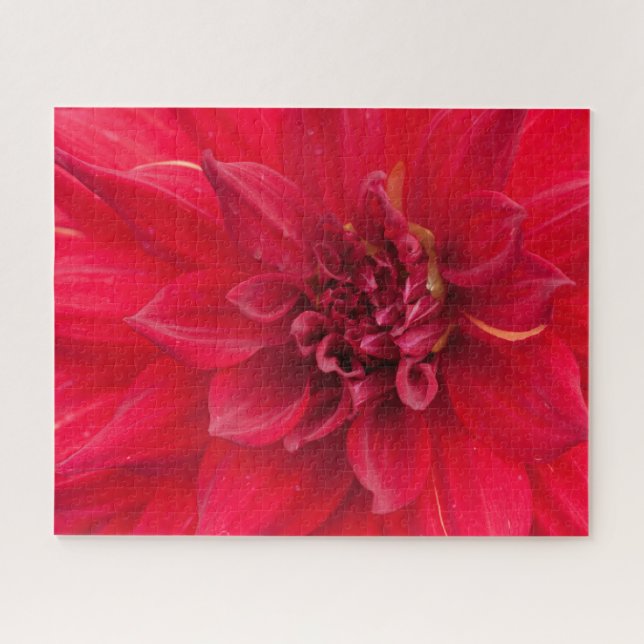 Red Dahlia Blume Puzzle (Horizontal)