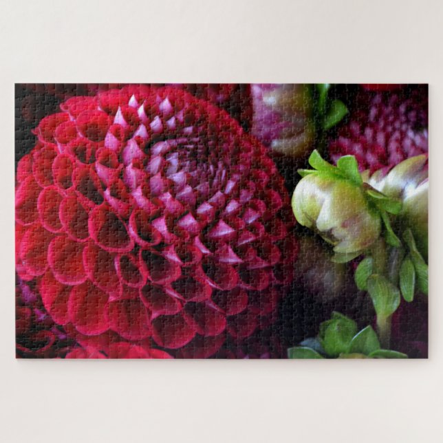 Red Dahlia Challenge Puzzle (Horizontal)