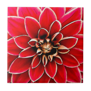 Red Dahlia, digitale Kunst Fliese