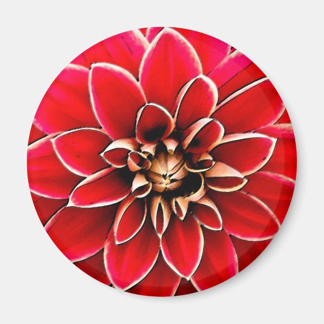 Red Dahlia, digitale Kunst Magnet (Vorne)