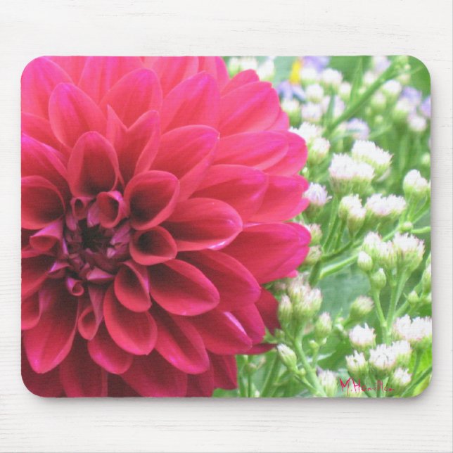 Red Dahlia Foto Mousepads (Vorne)
