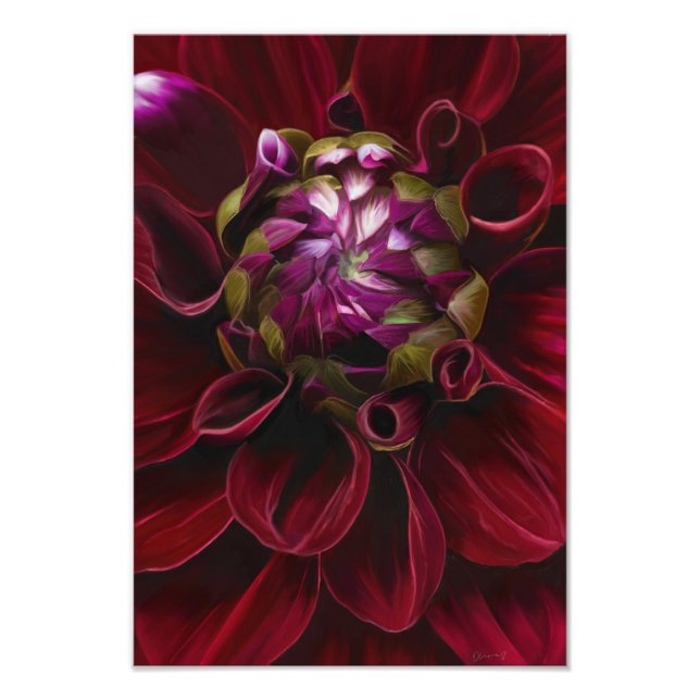 Red Dahlia Foto Print (Vorne)