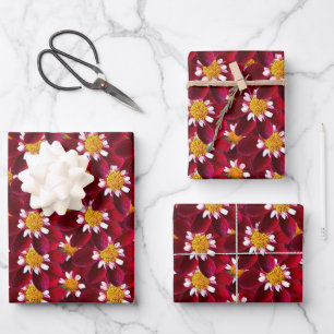 Red Dahlia Geschenkpapier Set