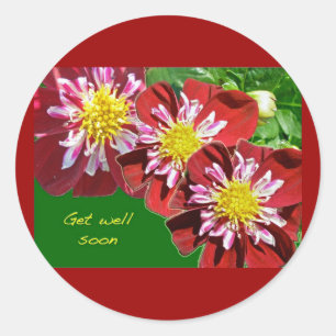 Red Dahlia Get Well bald Sticker