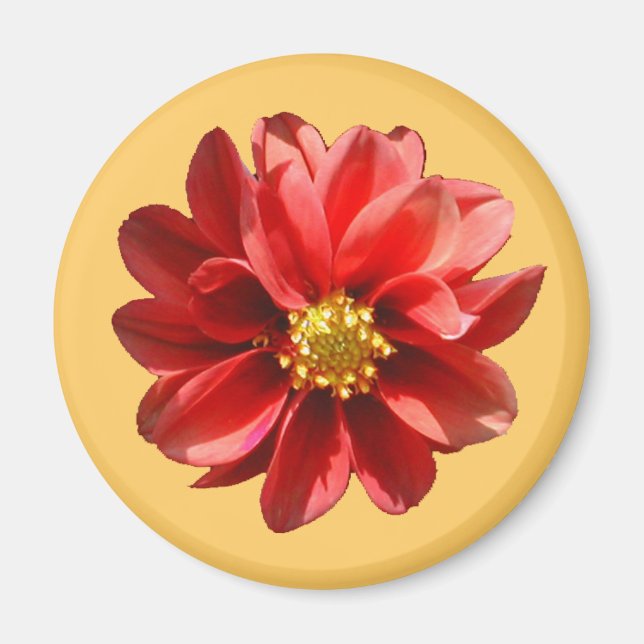 Red Dahlia Magnet (Vorne)