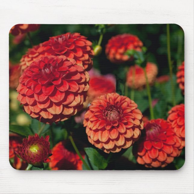 Red Dahlia Mouse Pad Mousepad (Vorne)