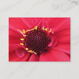 Red Dahlia Nah-up Visitenkarte