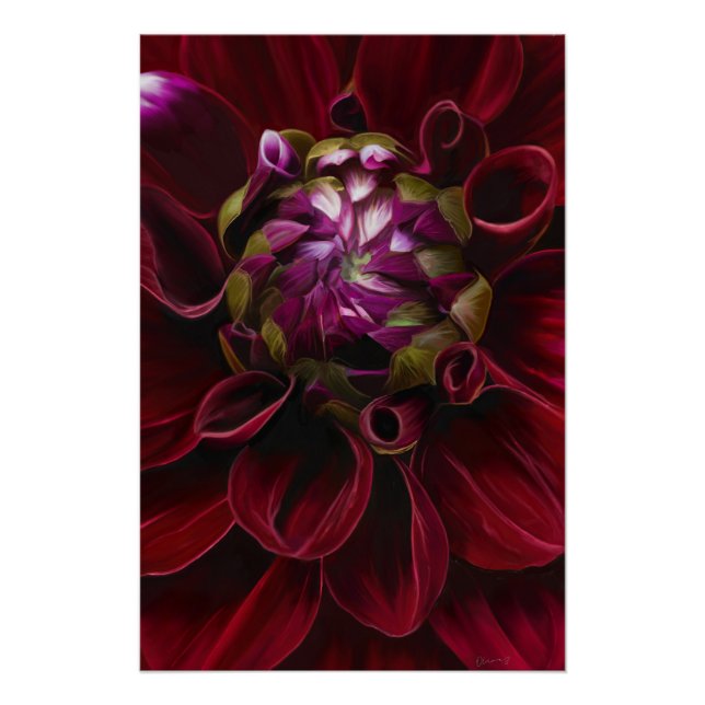 Red Dahlia Poster (Vorderseite)