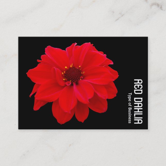 Red Dahlia - Schwarz Visitenkarte (Vorderseite)