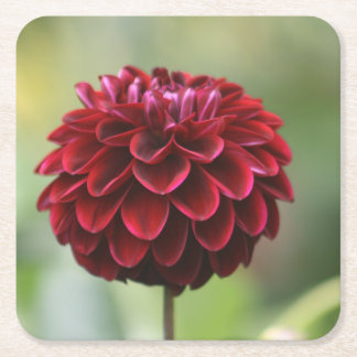Red Dahlia Untersetzer