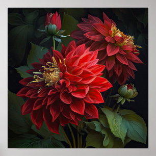 Red Dahlias Blume Art Print Poster