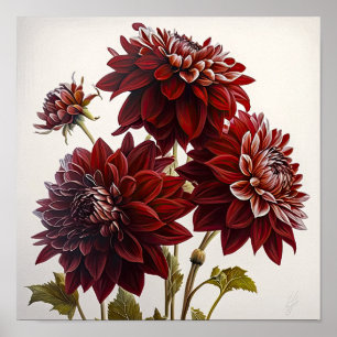 Red Dahlias Blume Art Print Poster