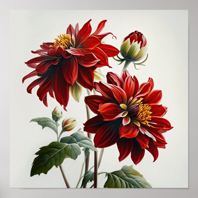 Red Dahlias Blume Art Print Poster (Vorne)