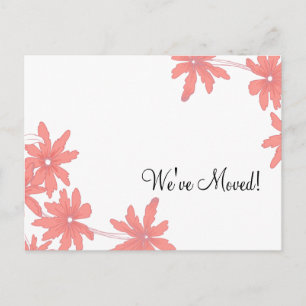 Red Daisies Änderung der Ankündigung