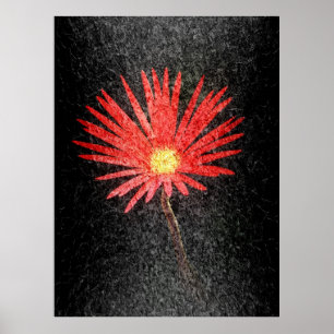 Red Daisy auf schwarzem Hintergrund   Abstrakte Ku Poster